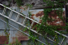 とある壁の風景