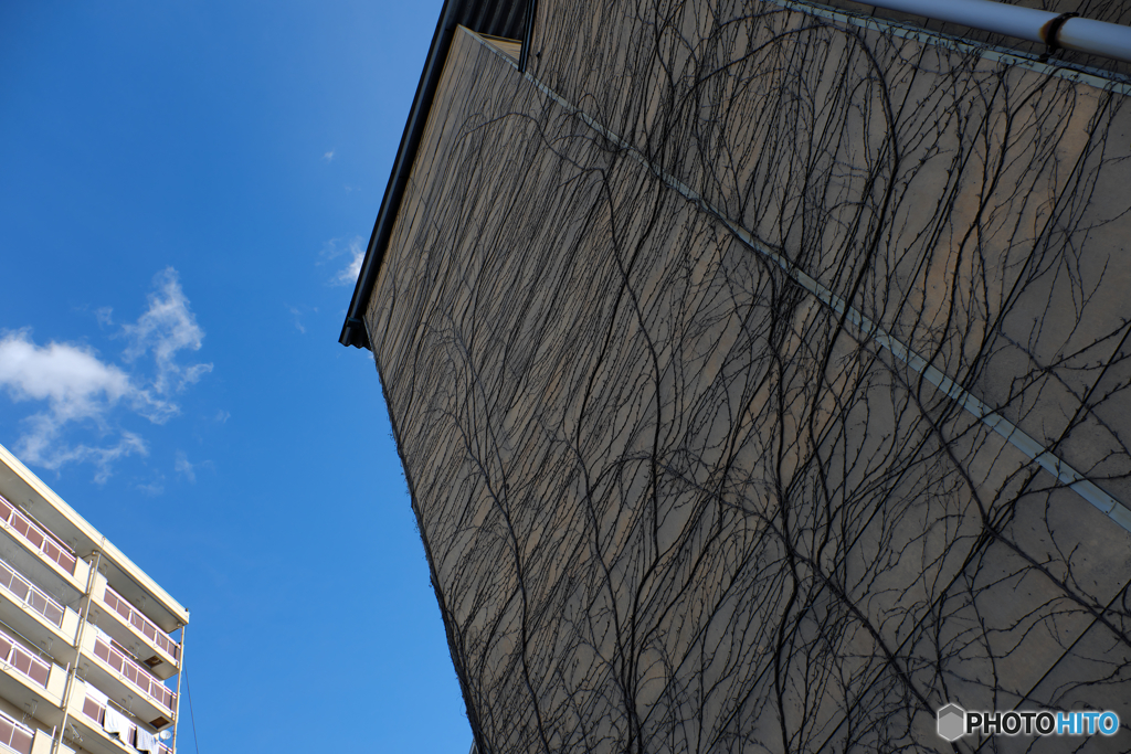 最近青空見てネーナー（過去写）＠小諸　by　うるとらそにっく