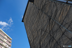 最近青空見てネーナー（過去写）＠小諸　by　うるとらそにっく