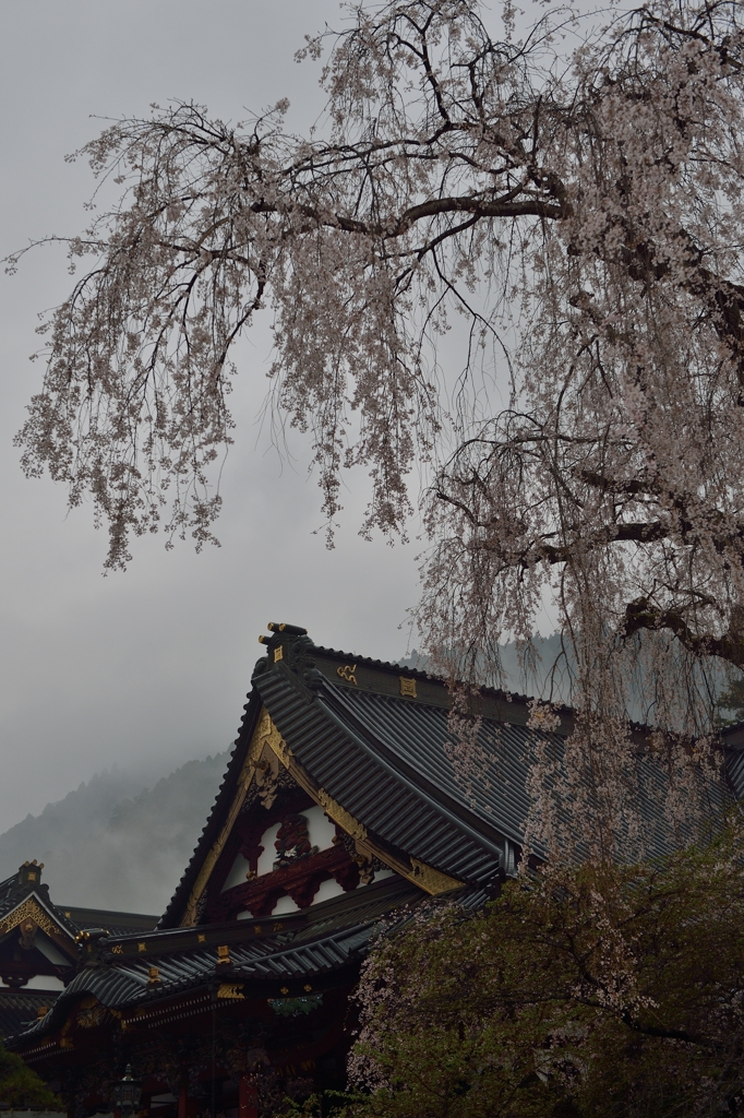 身延　ファイナルアンサー