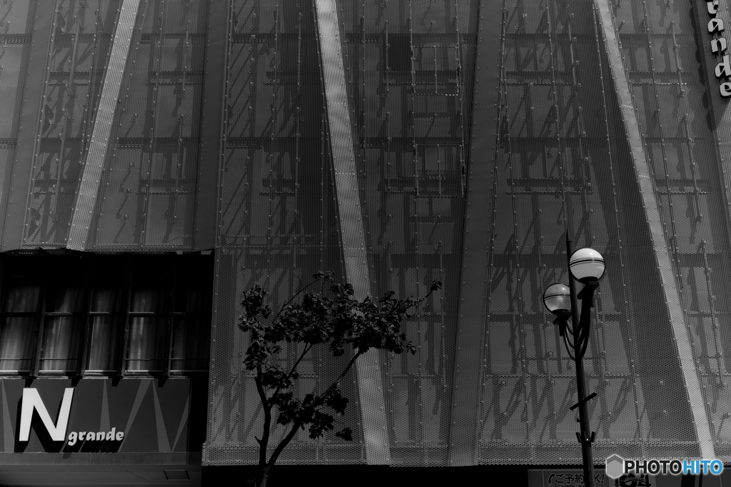 Mesh