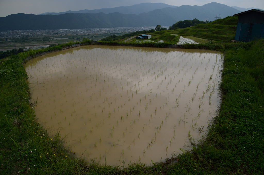 大地の穴