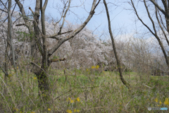季節は訪れる・・・どこにも