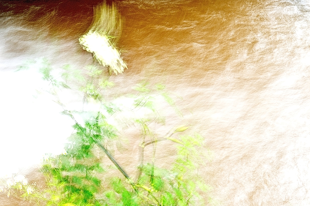 渓流に咲く　type2