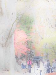 限界