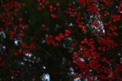 長野　清水寺
