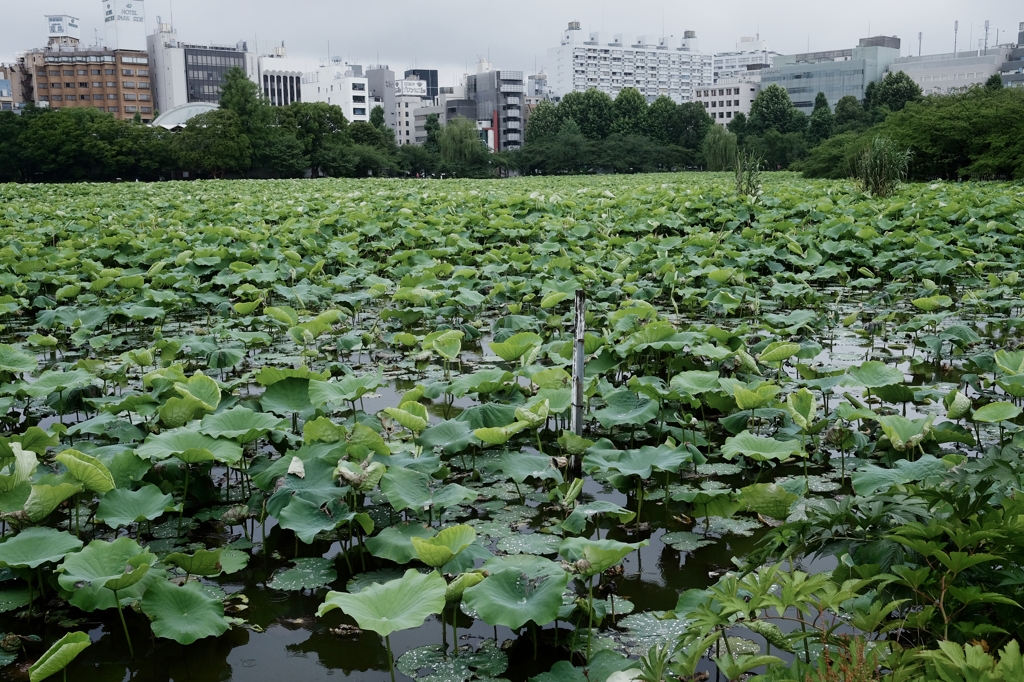 PHANTOM　ZONE　＠UENO