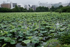 PHANTOM　ZONE　＠UENO