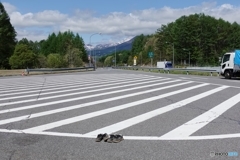5066　ふたり