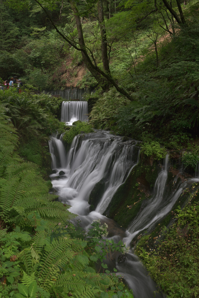 白糸の滝