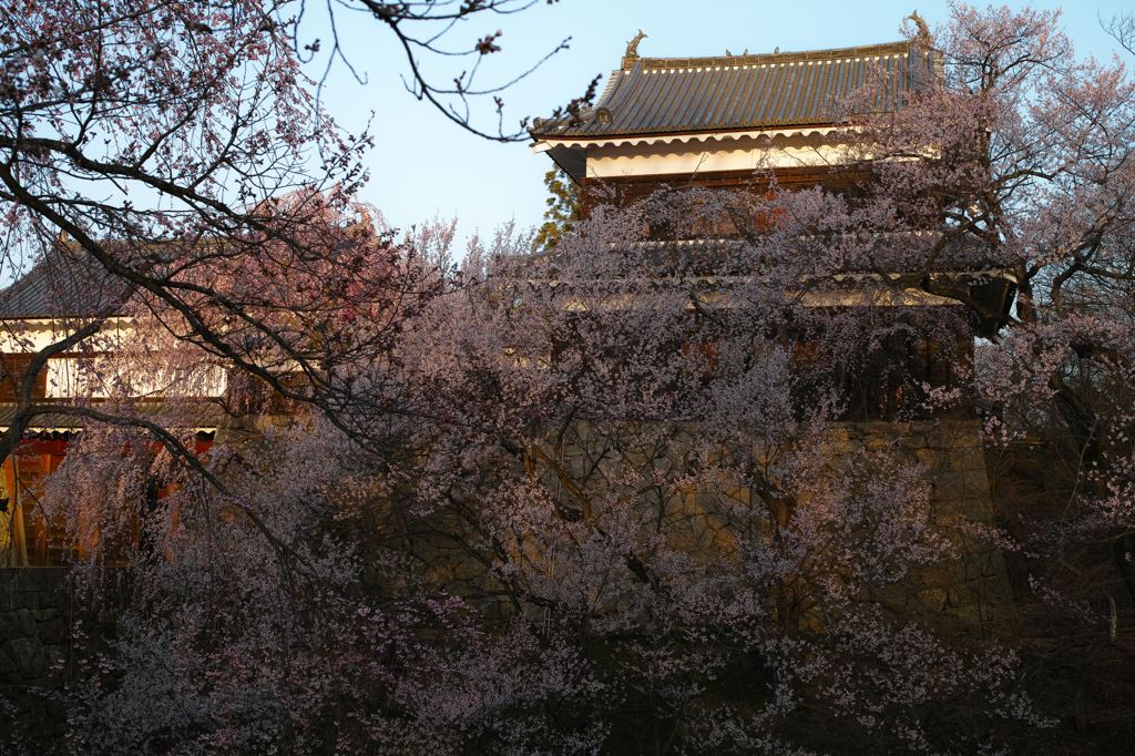 上田城