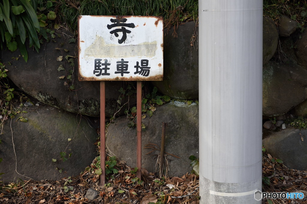 案内