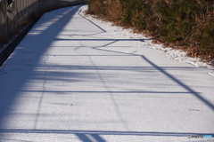 囲いが曲がったってね。　へ～