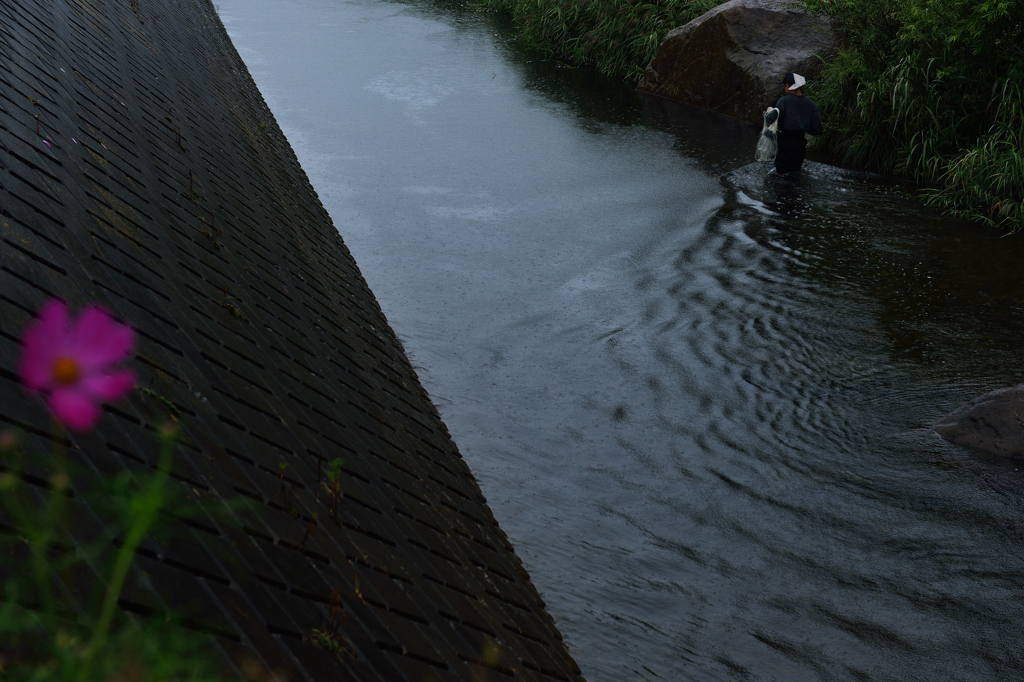 秋雨