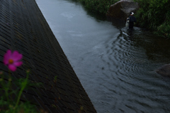 秋雨 秋雨