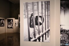 浅間国際フォトフェスティバル2019