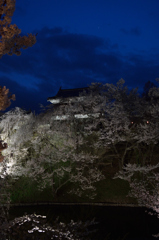 天に星　地に華　人に宴