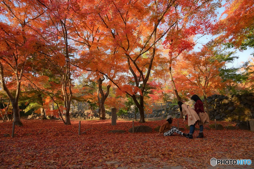 紅い一日（Resize）