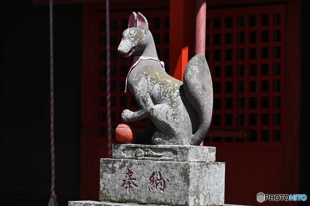 笑み（fox）