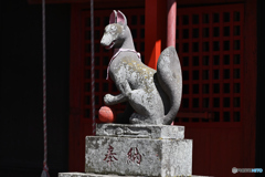 笑み（fox）