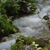 STREAM1833