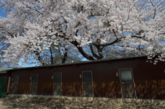 新学期