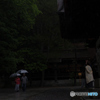 雨