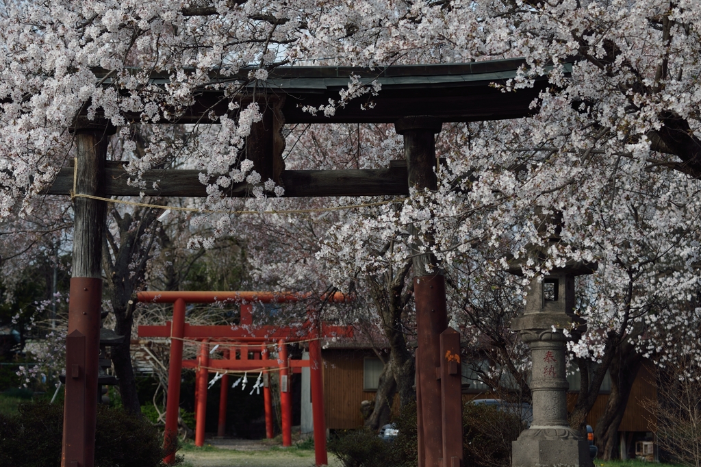 加増神社　参道　　
