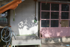 動物園（いない）