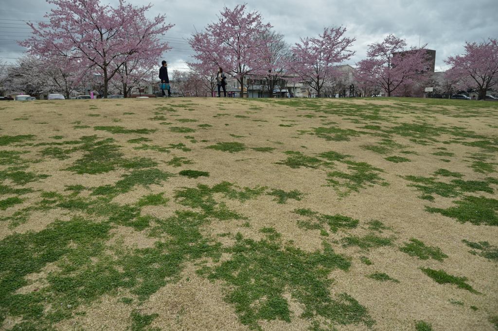 地球