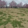 地球