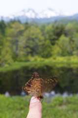 原点あらため蝶点