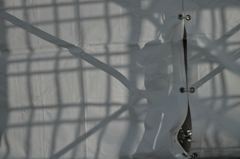 DP2M0288