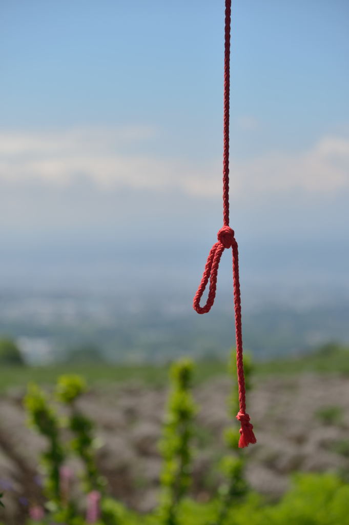 お釈迦様の糸