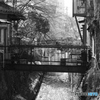 町の川