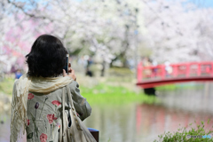 平成の春