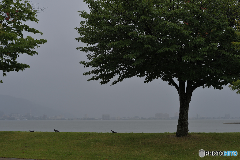 雨の彼岸