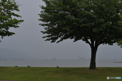 雨の彼岸