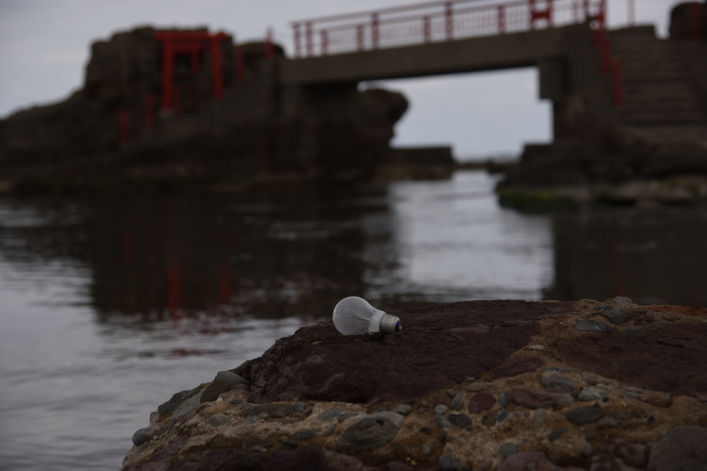 ひかり