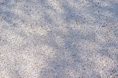 散る桜