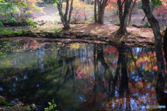 錦秋の瞬間（とき）