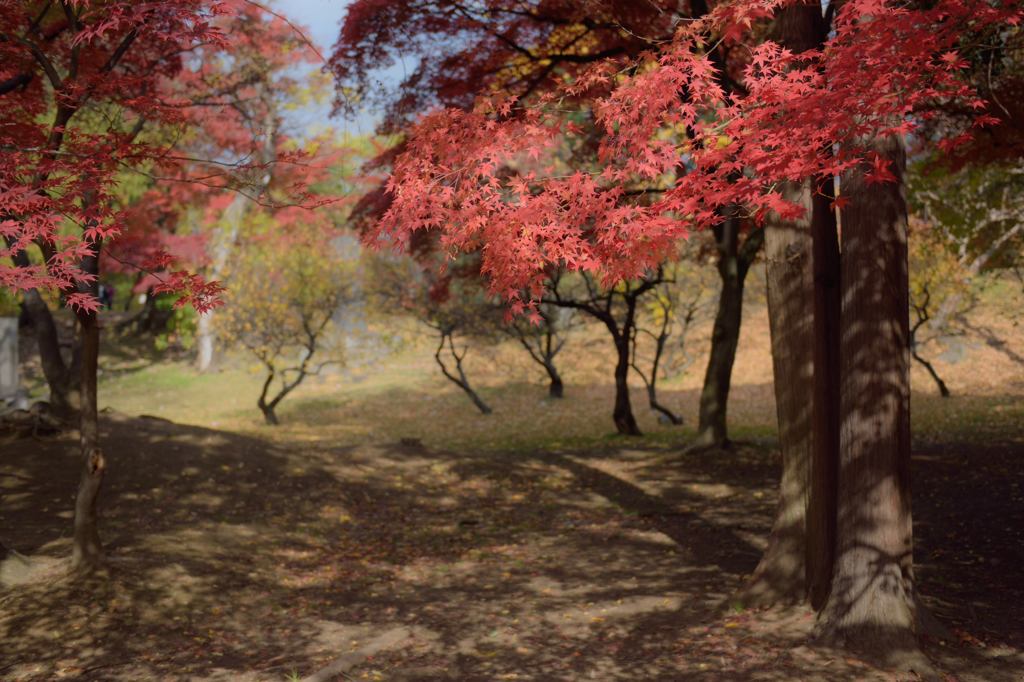 小路