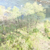 橋（＃）