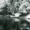雪のほとり