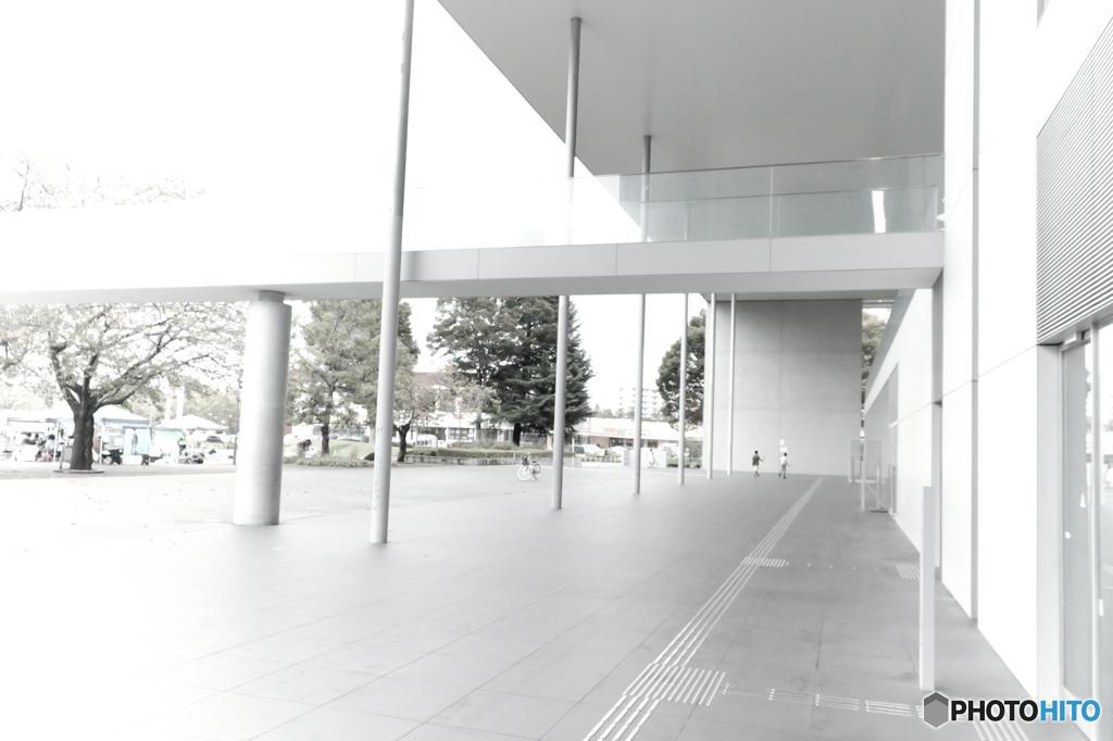 TSUKUBA　嘘の香り
