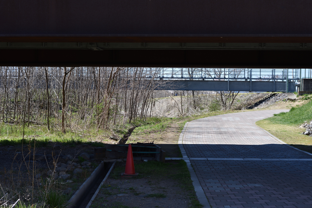 5003　フォーカルプレーン