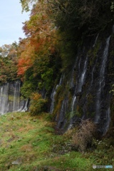 秋色　白糸の滝（Resize）