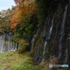 秋色　白糸の滝（Resize）