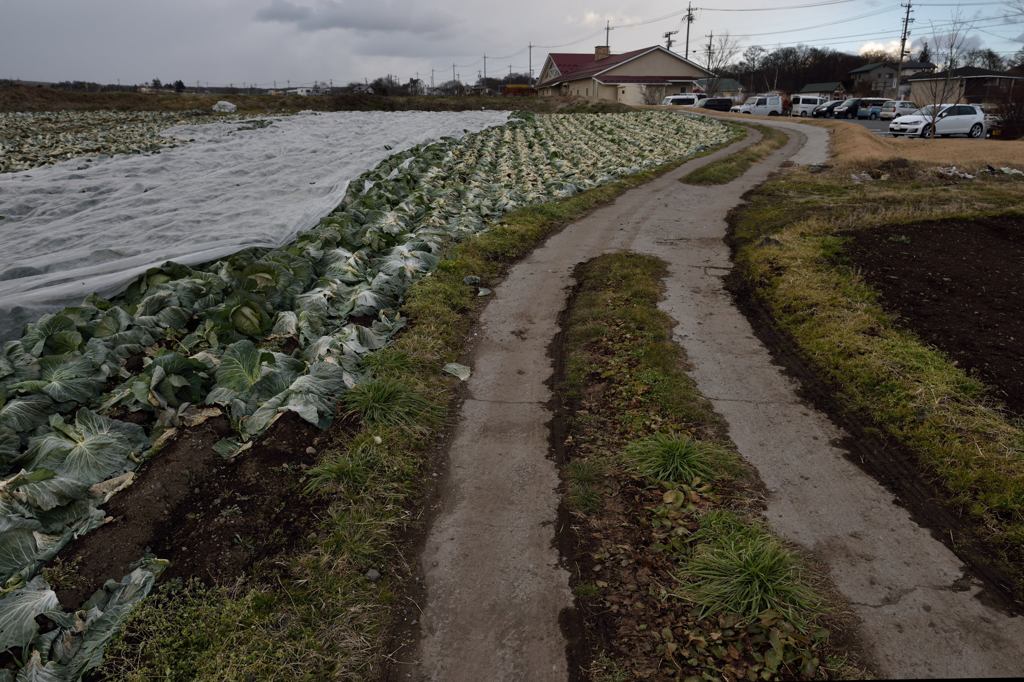 パン屋の裏の道