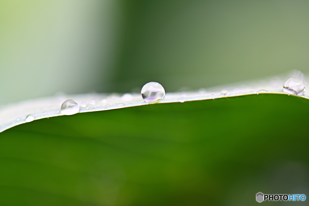 WATERPEARL